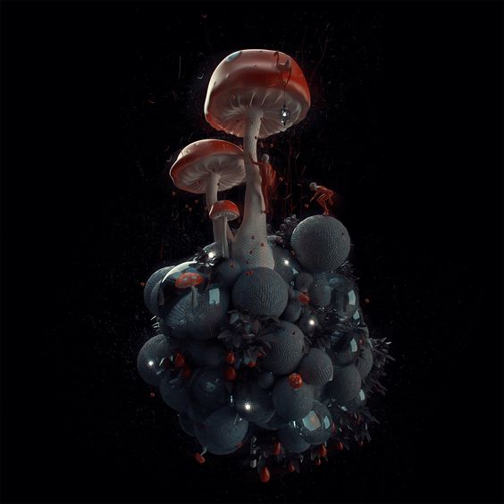 magic mushroom online order